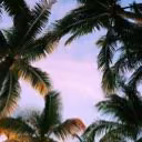 kapral__