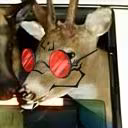 GeneralDeer