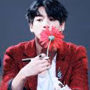 Wolf_14k