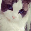 Jessica_Mills