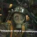 NikCrowch