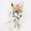 AriFoxWP