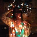 Defa_Rose