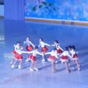 ViKaPulina