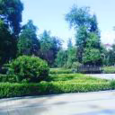 annabelkatu