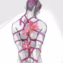 Asirafel