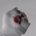 lua_minor