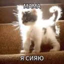 Pypela000