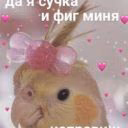 cyYka667