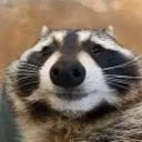 Tey_ruuu
