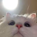 _xelloy_uwu_