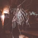 kirakotenko