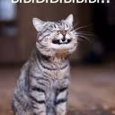 Merlinlol