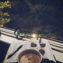 green_pingvin