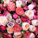 loveforever00
