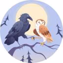 sleepy_owl_0