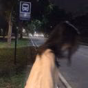 Sandra_0506