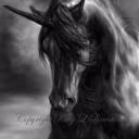Black-Angel159