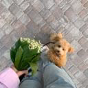 Afina_Chapysheva