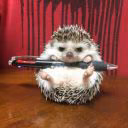 YakogoChorta