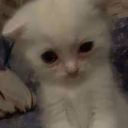 lasqwxxx