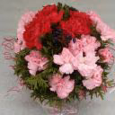 Belinda_happy