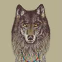Wolk_Inc