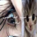 lillsfi