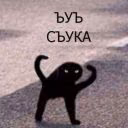 SkullOfFox
