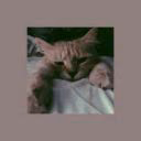 dgessy005