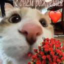 Foxiiikii