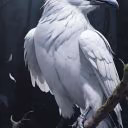 WhiteCrowow