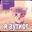 zplavvka