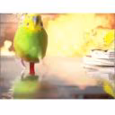 bitches_mommy