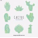 funcactus