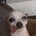 pressurexbby