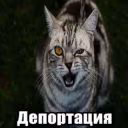 wwwwgeniy