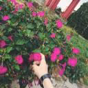 Ksenia_Pain