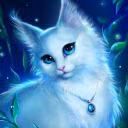 user632360854470