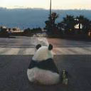 Lilly_Do