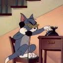 kittikates