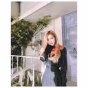 Jeon_Rose