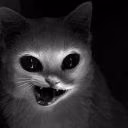 KotikVelvet
