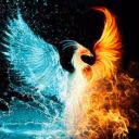 fenix_faro