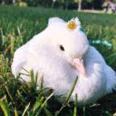 QOKERSHIN