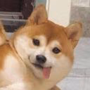 yla_yo