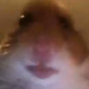 MinHalsy