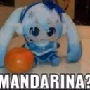 user53948534