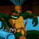 TurtlesF