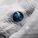 Milky_1i1
